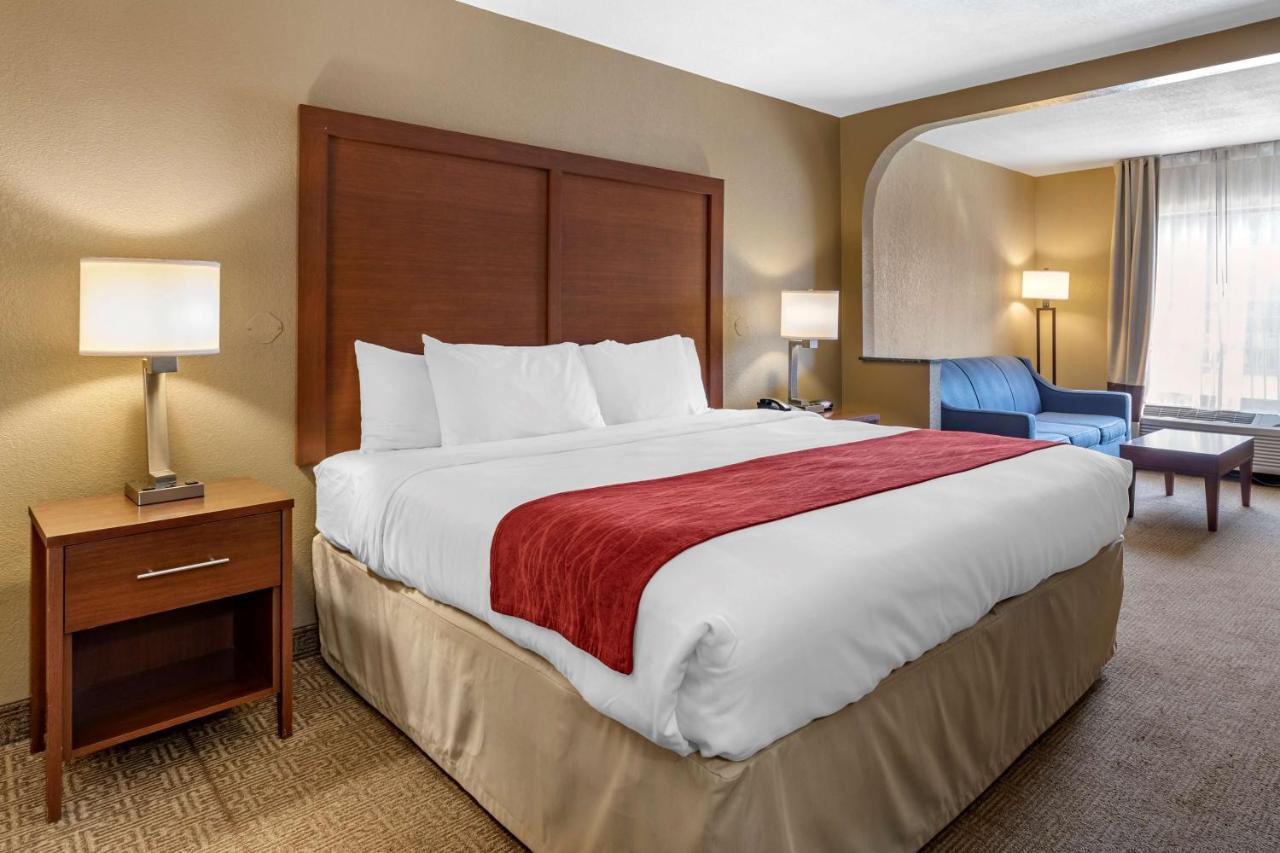 King Suite - Non-Smoking at Comfort Inn Biltmore West
