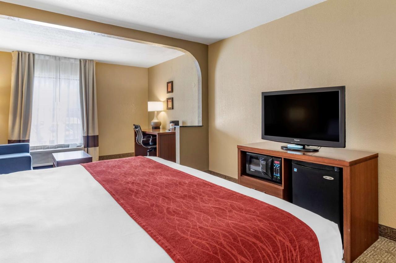 King Suite - Non-Smoking at Comfort Inn Biltmore West