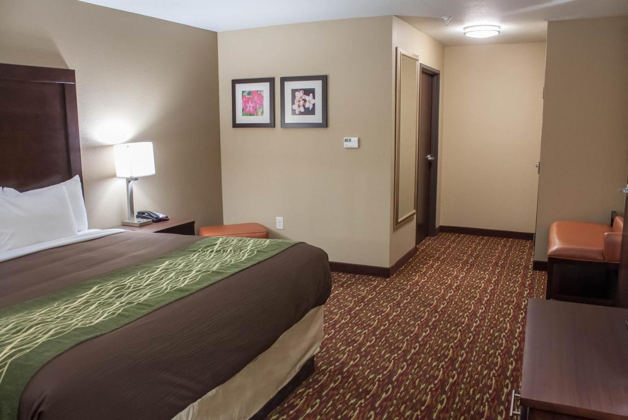 King Suite with Sofa Bed - Non-Smoking at Comfort Inn & Suites Artesia
