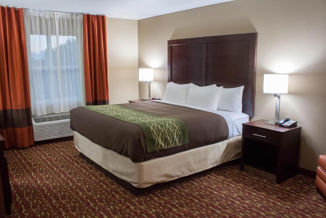 King Suite with Sofa Bed - Non-Smoking at Comfort Inn & Suites Artesia