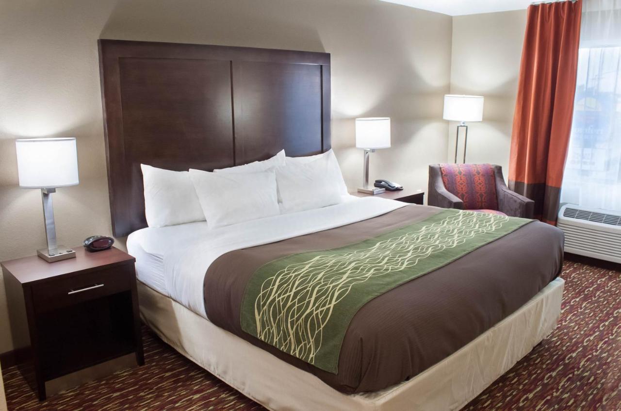 King Room - Non-Smoking at Comfort Inn & Suites Artesia