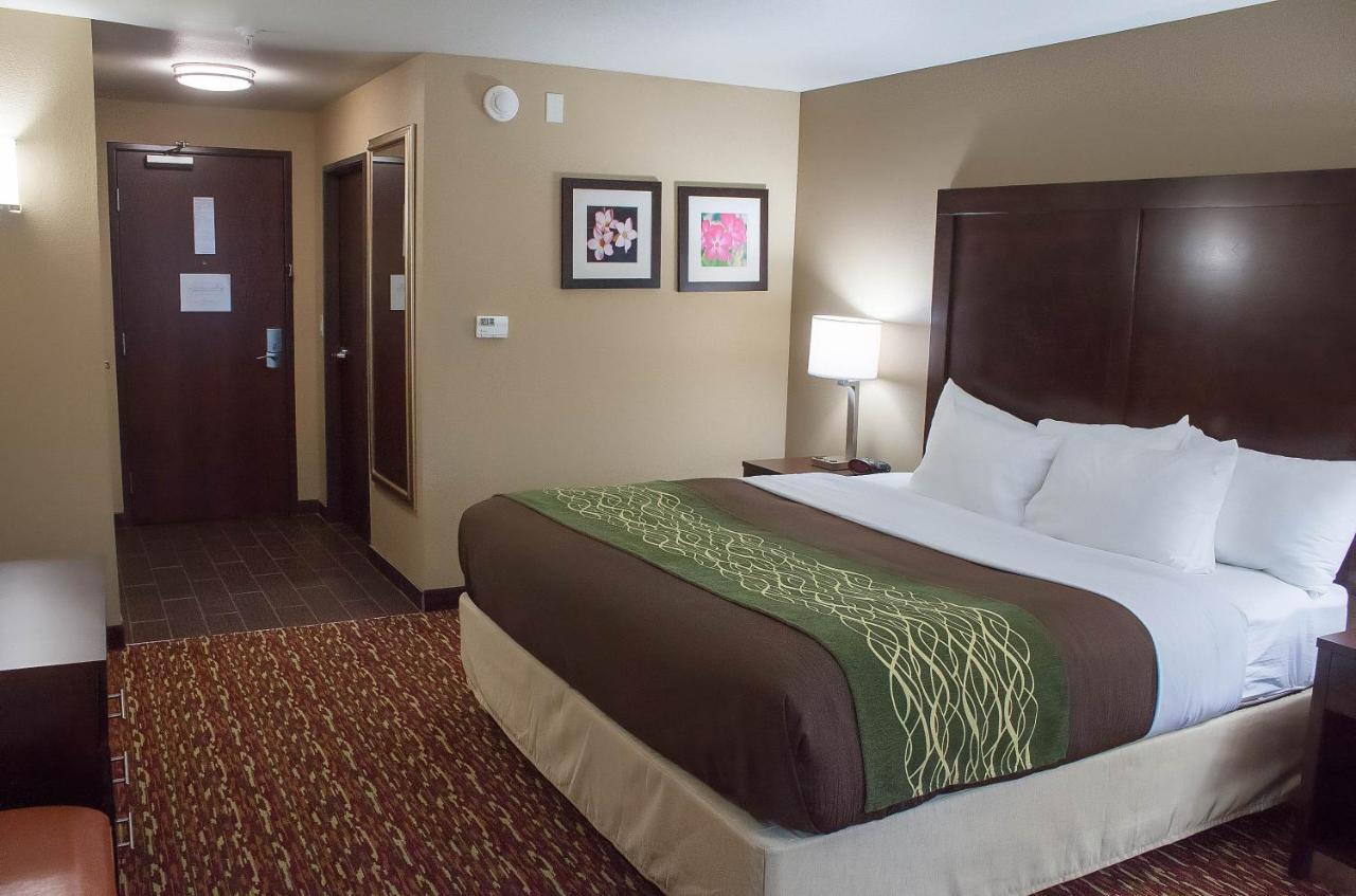 King Room - Non-Smoking at Comfort Inn & Suites Artesia