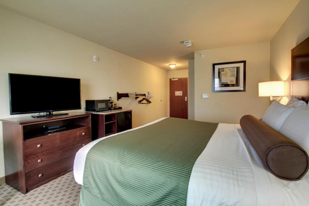 King Room with Roll-In Shower - Disability Access at Cobblestone Inn & Suites - Steele