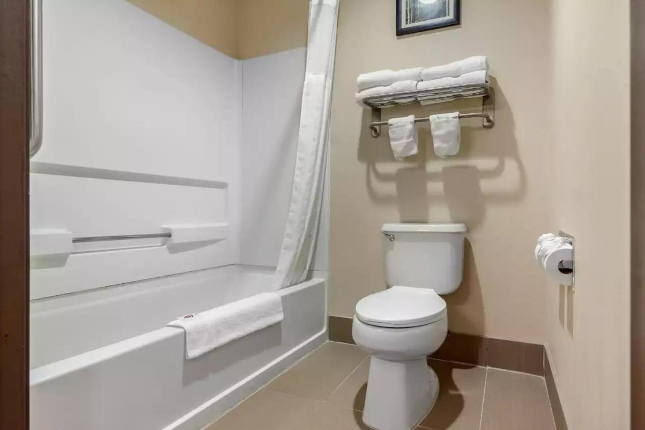 King Suite with Sofa Bed - Non Smoking at Comfort Suites Omaha East-Council Bluffs