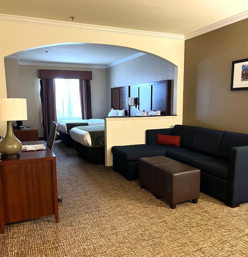 Queen Suite with Sofa Bed - Mobility Accessible/Non-Smoking at Comfort Suites Texas Ave.