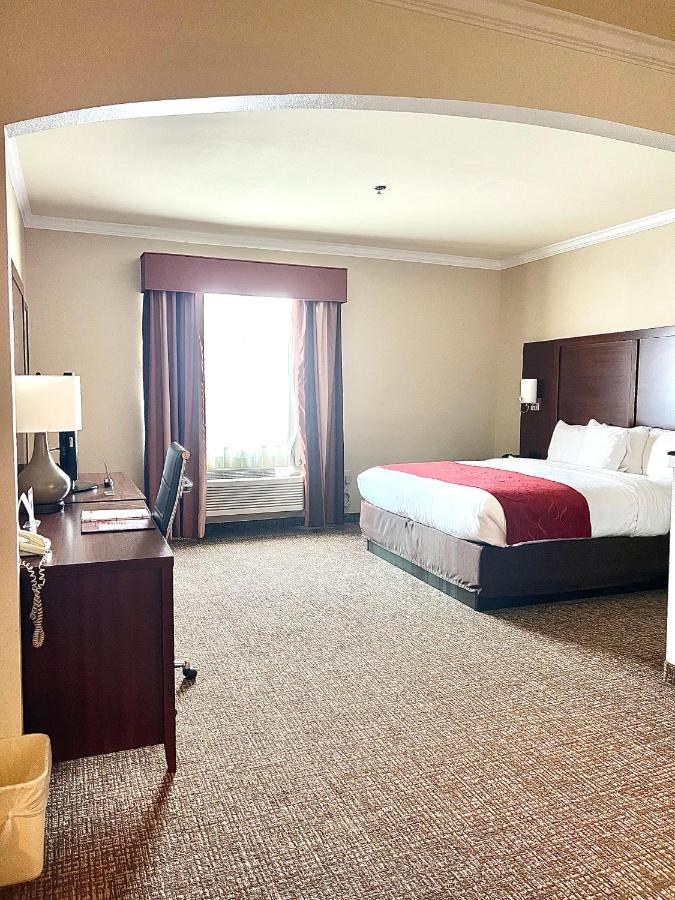 Deluxe King Suite with Kitchenette - Non-Smoking at Comfort Suites Texas Ave.
