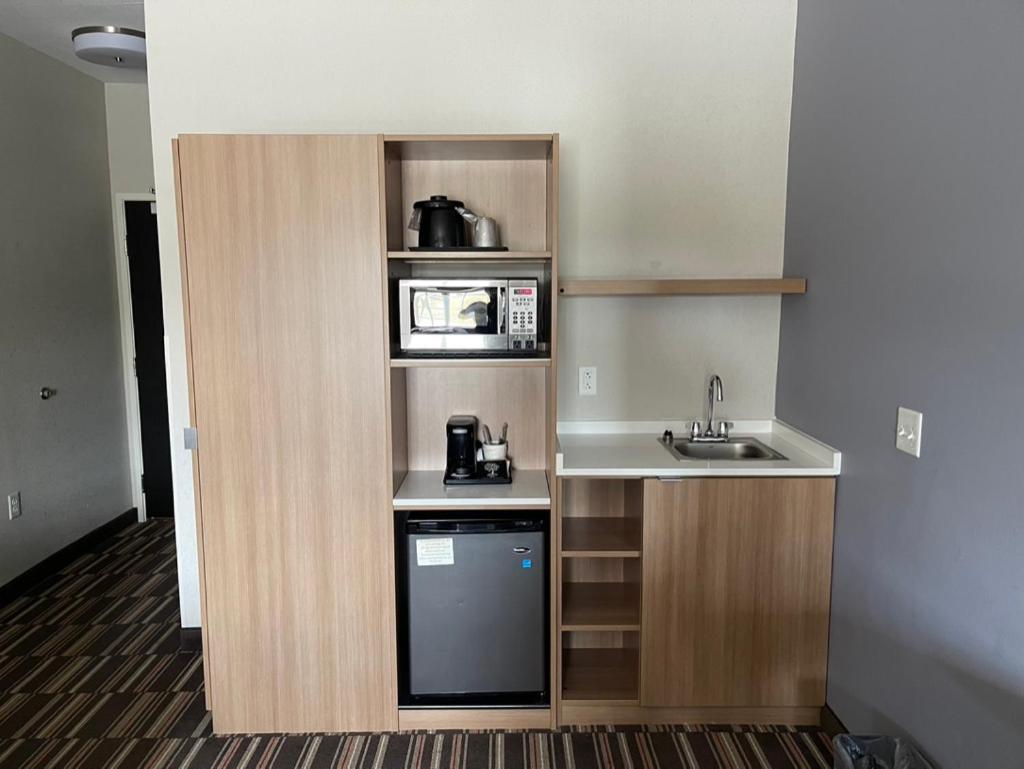 Queen Studio Suite - Non-Smoking at Microtel Inn & Suites by Wyndham Carlisle