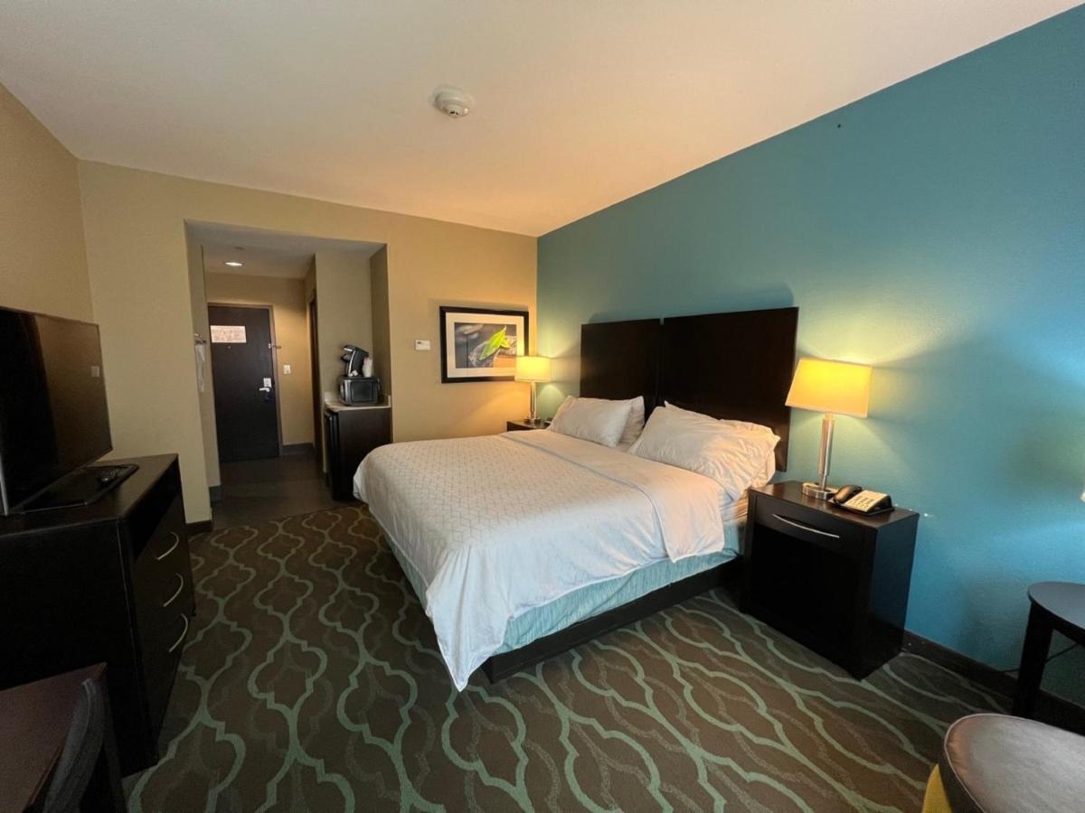 King Leisure Room at Holiday Inn Express & Suites Cuero by IHG