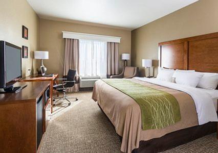 King Room - Non-Smoking at Comfort Inn Midland South I-20