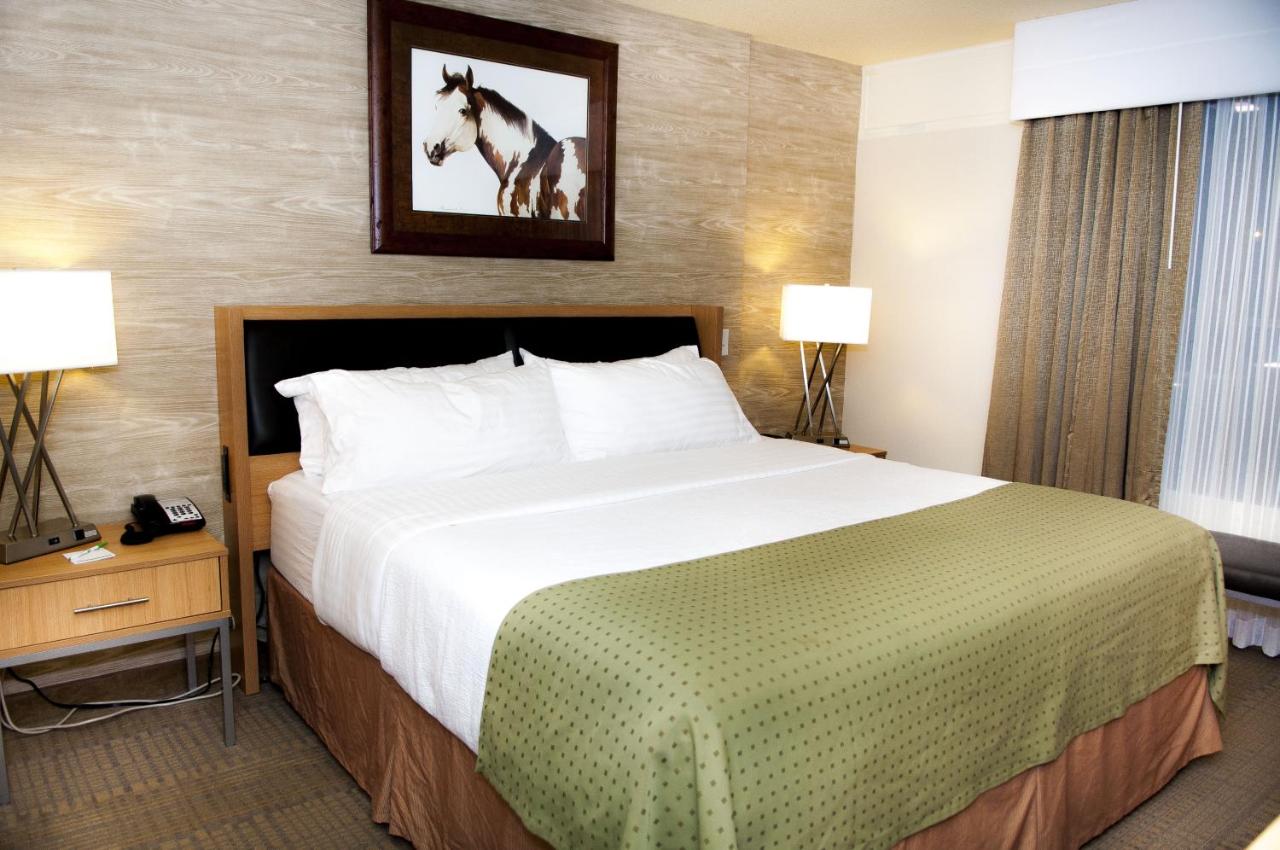 Standard Room at Holiday Inn Spearfish - Convention Center by IHG
