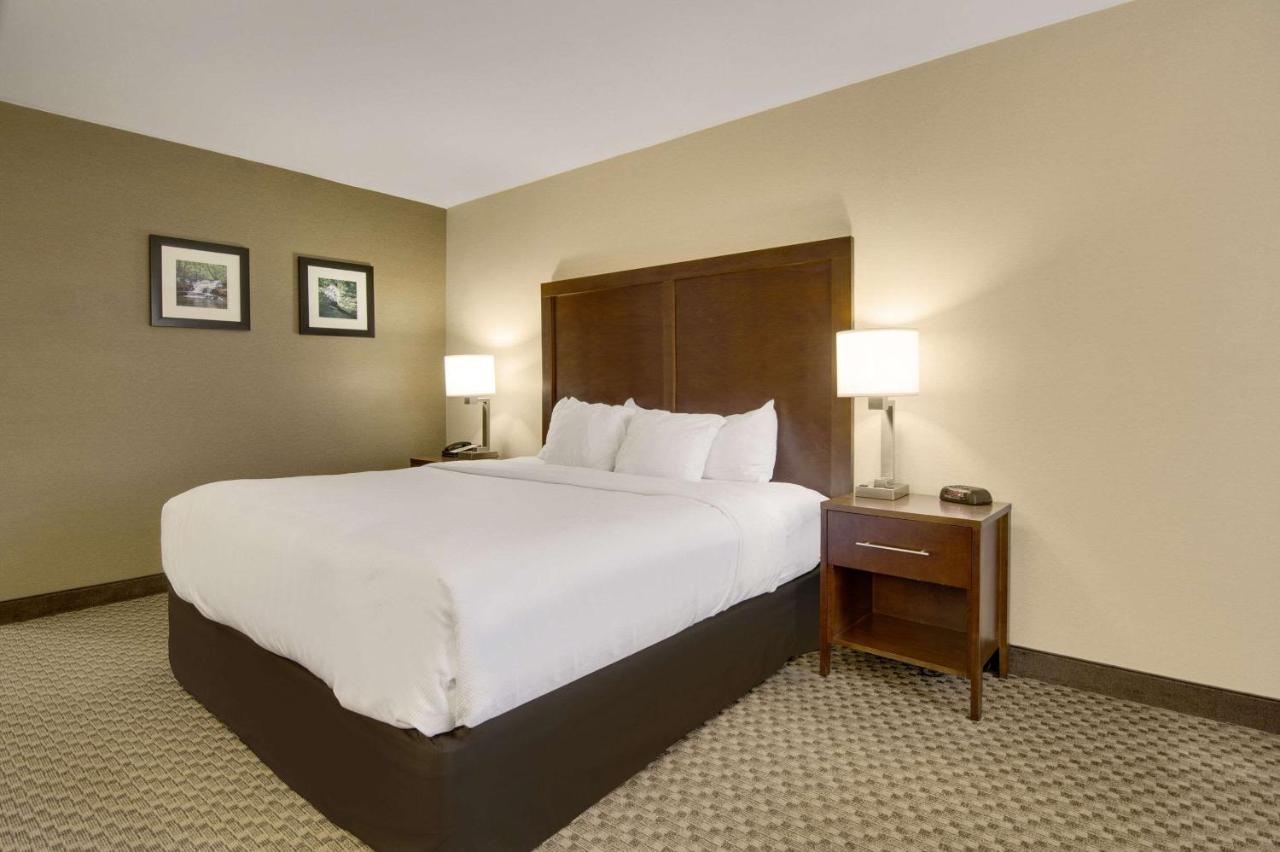 King Room - Non-Smoking at Comfort Inn Airport