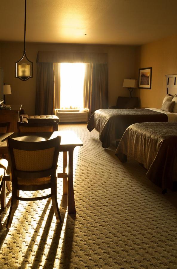 Deluxe Queen Room at Teddy's Residential Suites New Town