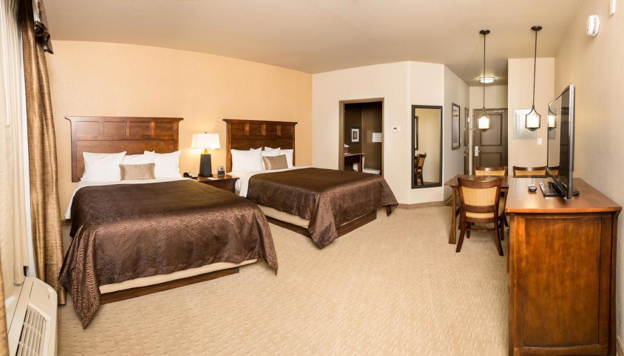 Queen Suite at Teddy's Residential Suites New Town