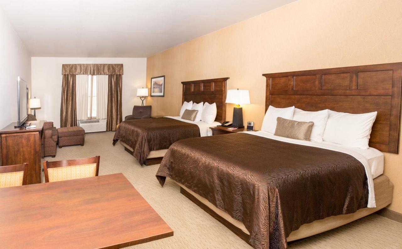 Queen Suite at Teddy's Residential Suites New Town