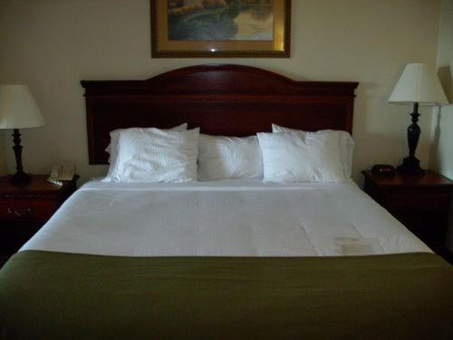 King Room with Bath Tub - Disability Access/Non-Smoking at Holiday Inn Express Hotel & Suites Laurinburg by IHG