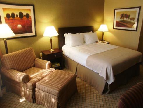 Queen Room - Disability Access with Roll In Shower /Non-Smoking at Armoni Inn & Suites