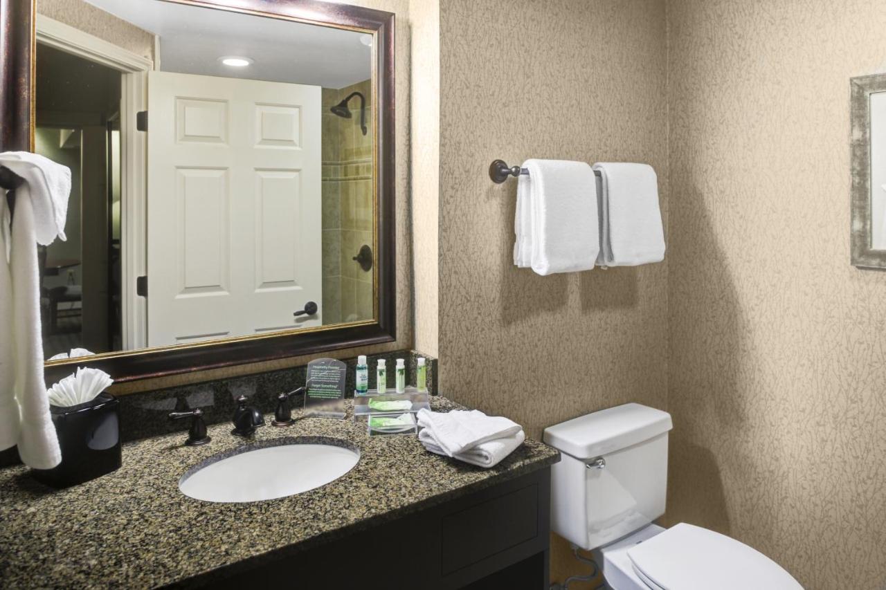 Standard Room at Holiday Inn Express & Suites Atlanta Buckhead by IHG