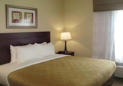 King Studio Suite - Non-Smoking at MainStay Suites Meridian - Bonita Lakes