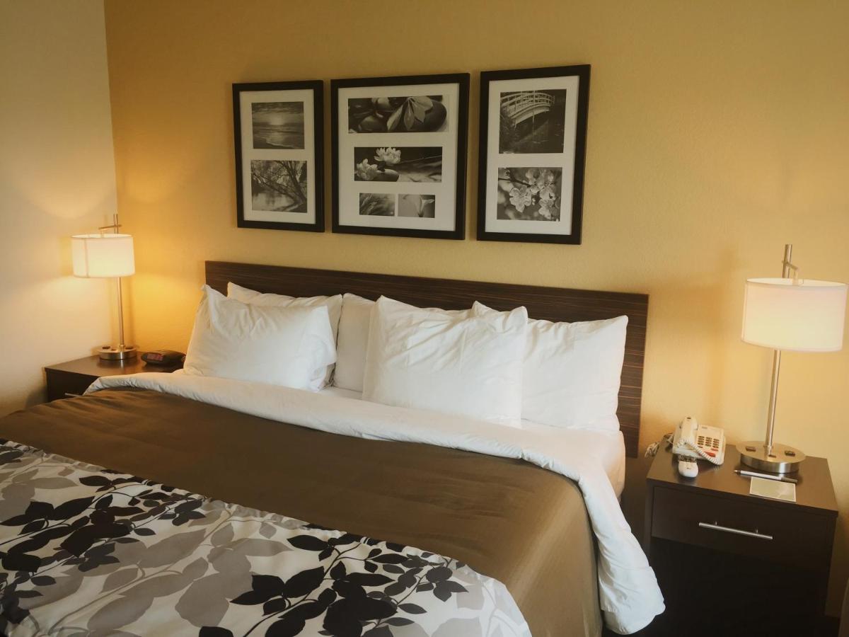 King Suite - Non-Smoking at Sleep Inn & Suites Carlsbad Caverns Area