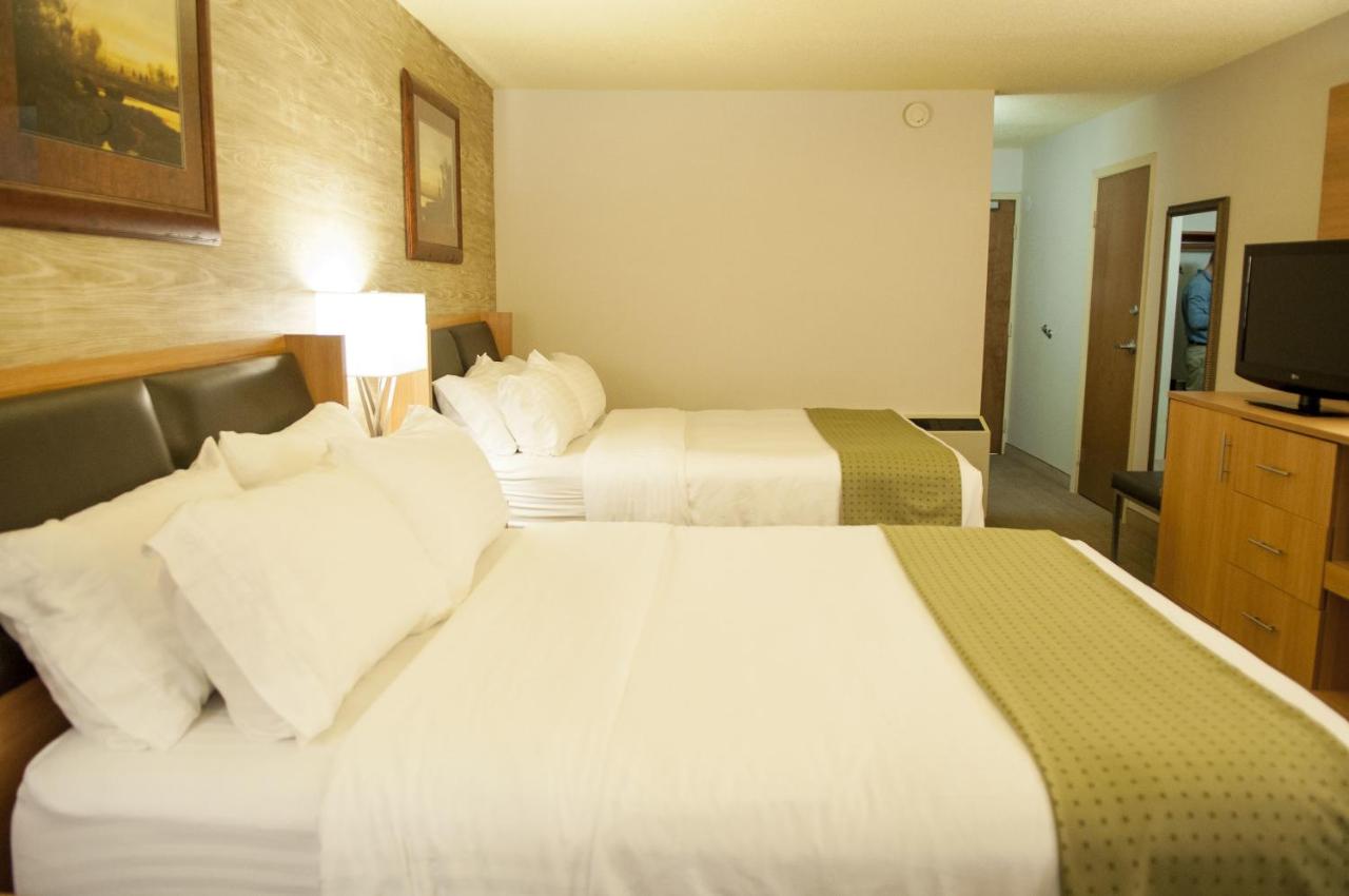 Standard Room at Holiday Inn Spearfish - Convention Center by IHG