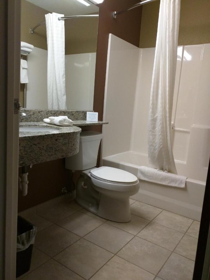 Queen Room - Non-Smoking at Microtel Inn & Suites by Wyndham Minot
