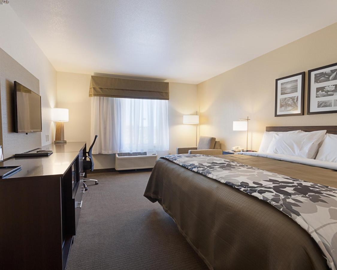 Standard Room - Non-Smoking at Sleep Inn & Suites Carlsbad Caverns Area