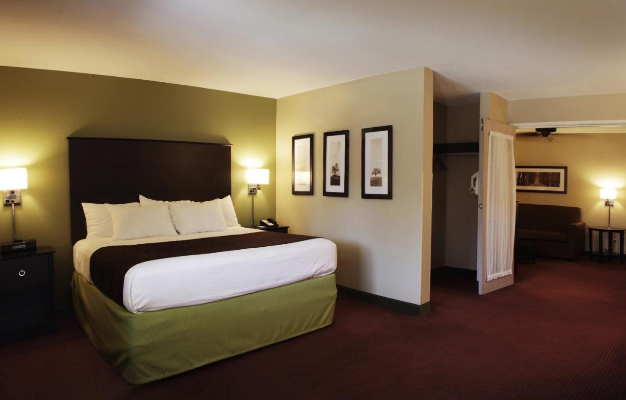 One-Bedroom Superior King Suite - Non-Smoking/2nd Floor at AmericInn by Wyndham Okoboji