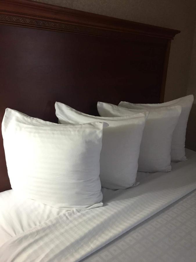 Suite with Four Queen Beds at Comfort Inn Pentagon