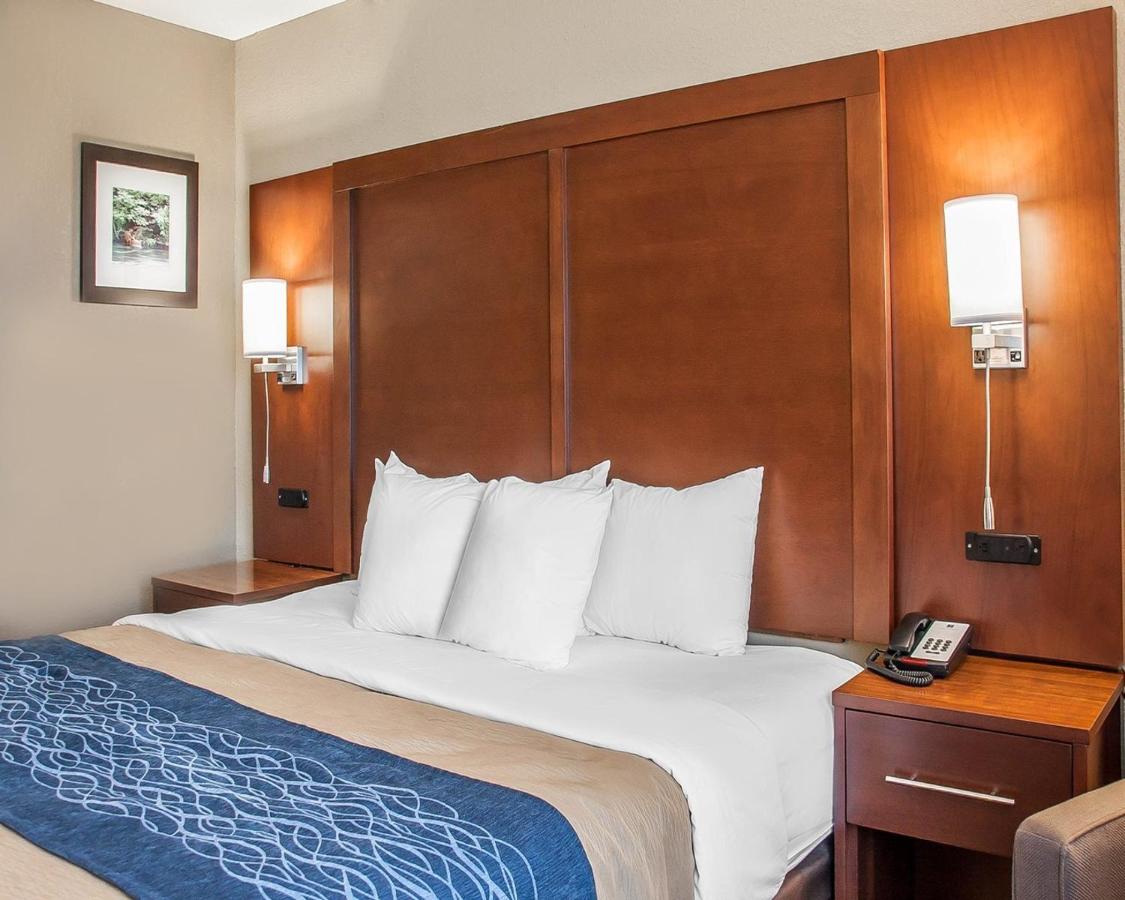 King Room - Non-Smoking at Comfort Inn Fergus Falls
