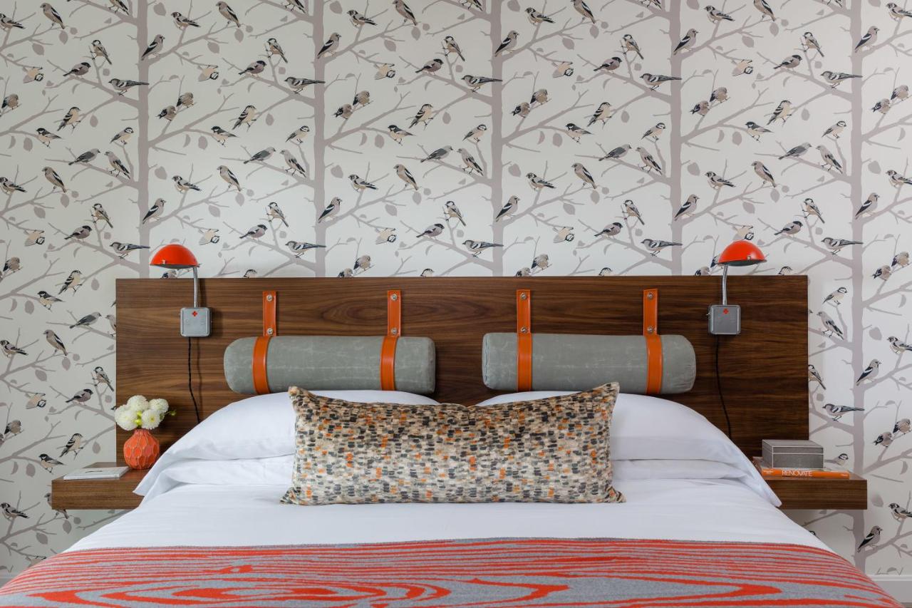 King Suite at Field Guide Lodge