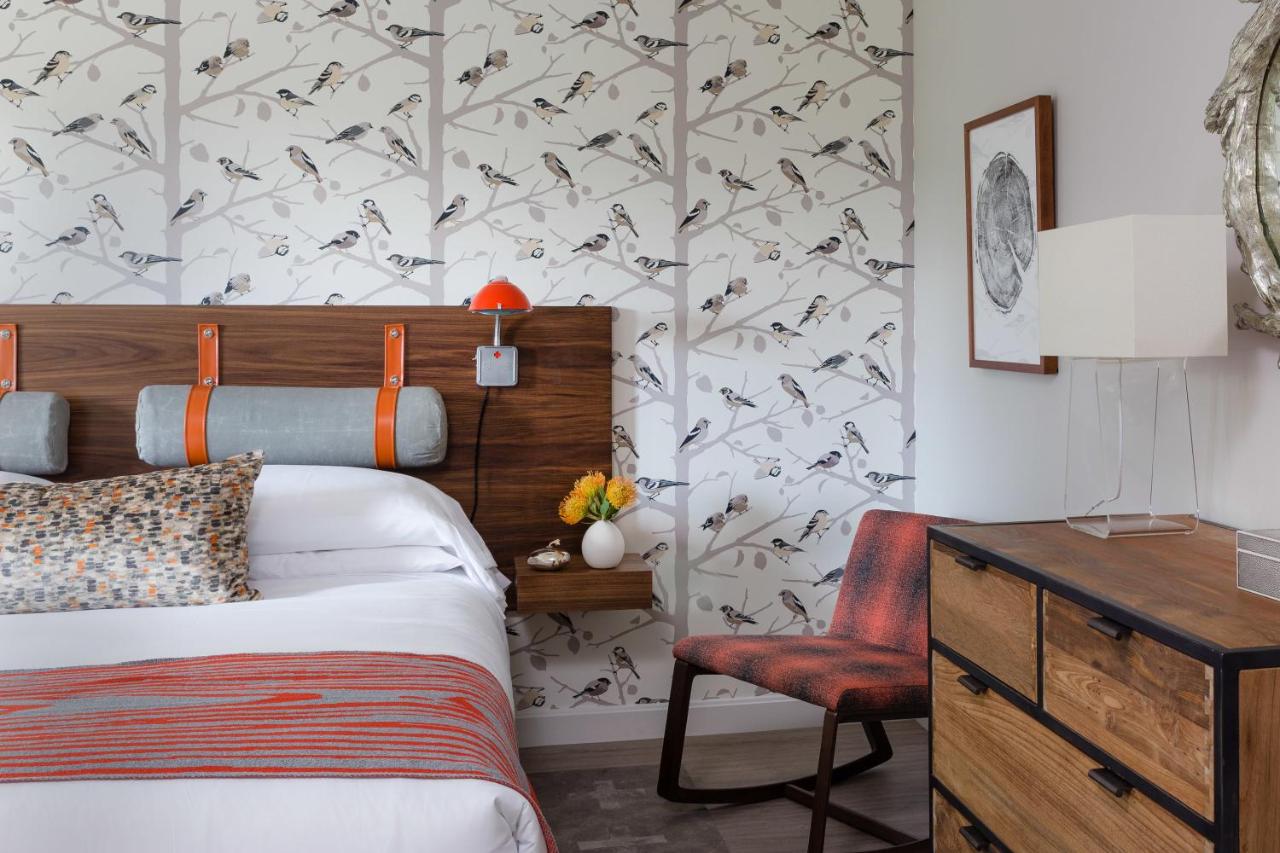 Queen Room at Field Guide Lodge
