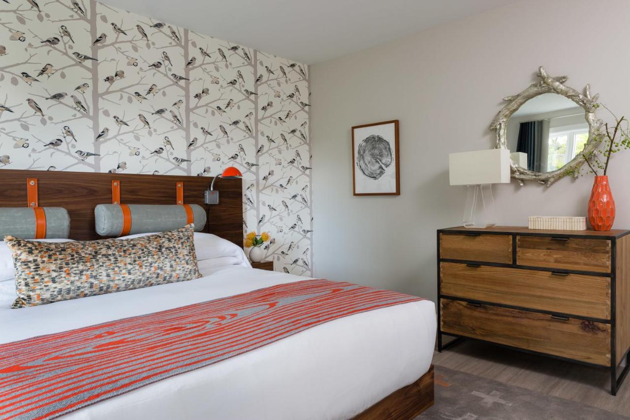 King Room at Field Guide Lodge