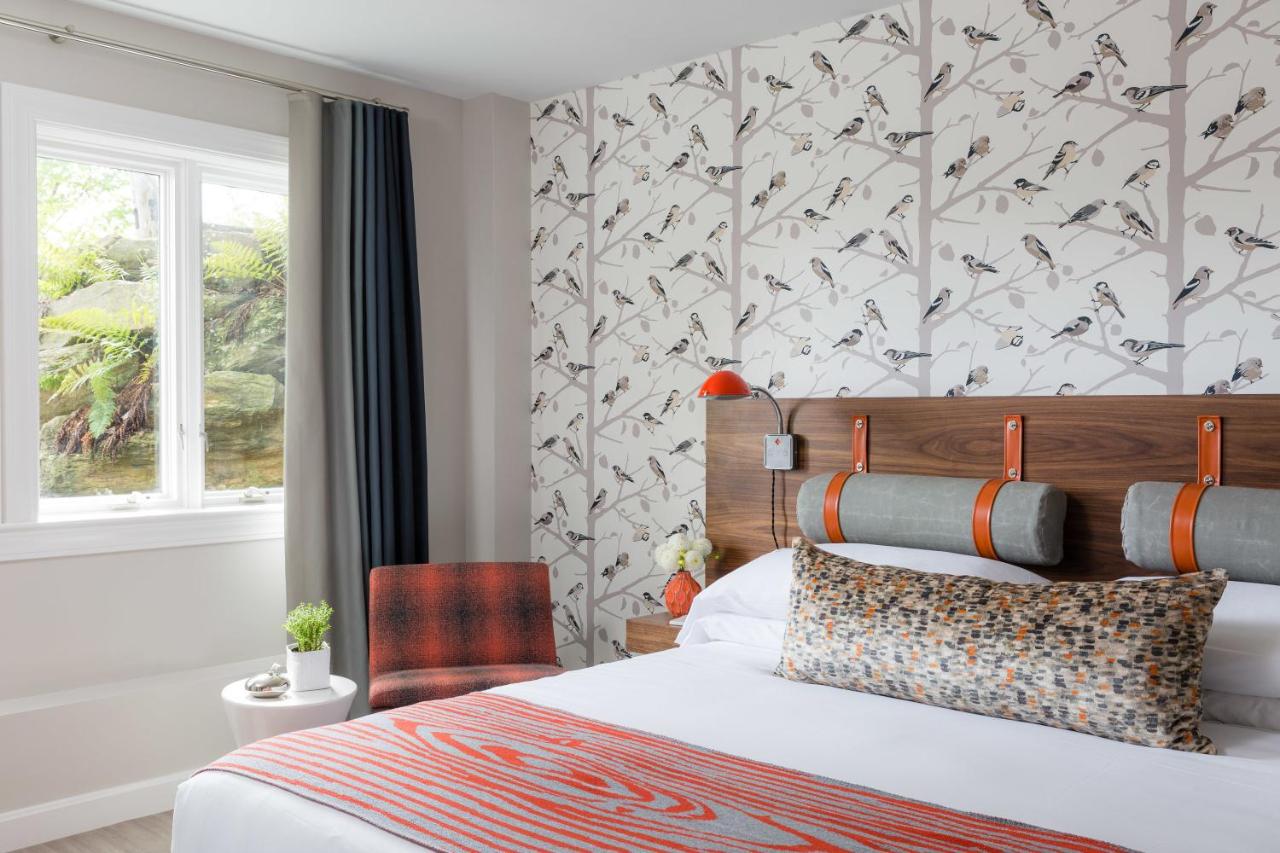 King Room at Field Guide Lodge