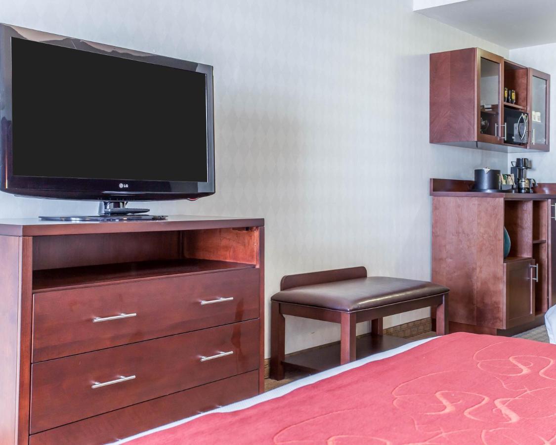 Standard King Suite - Non-Smoking at Comfort Suites Airport Tukwila Seattle