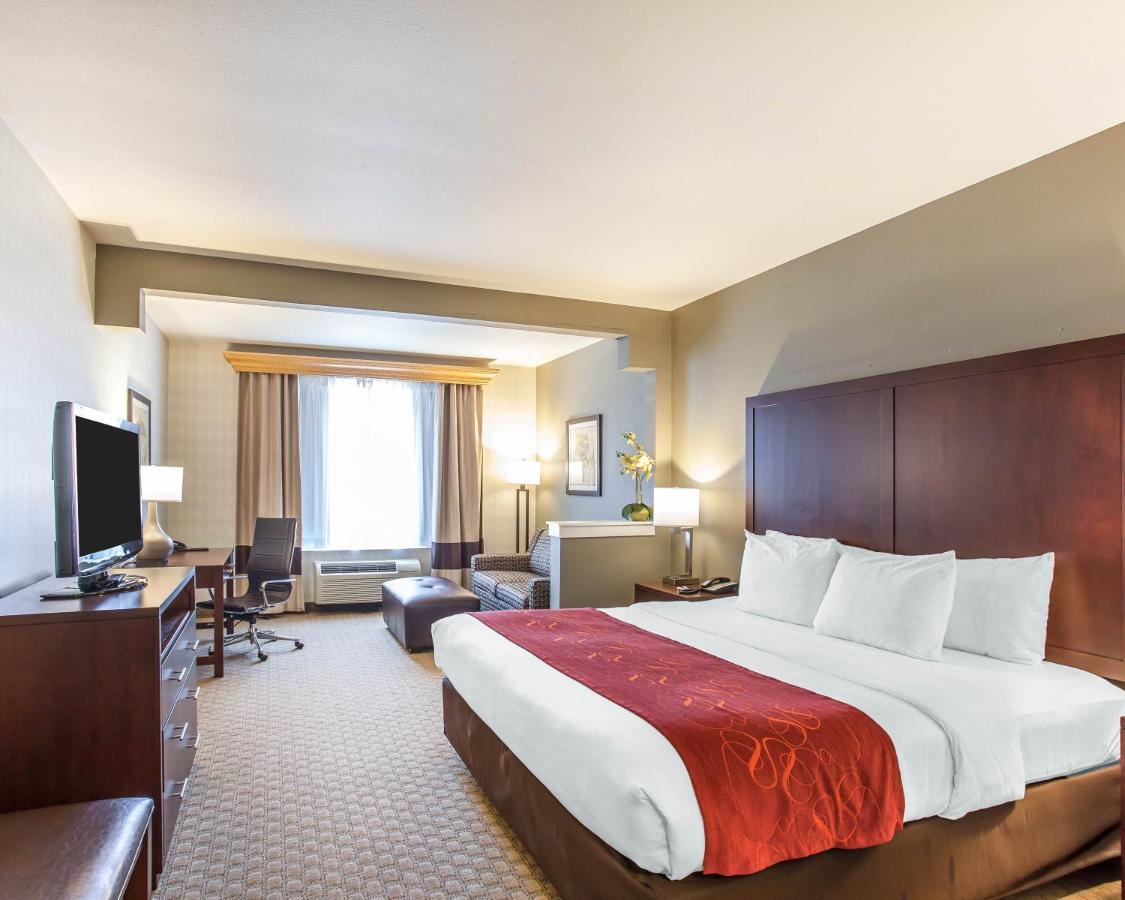 King Suite - Disability Access/Non-Smoking at Comfort Suites Airport Tukwila Seattle