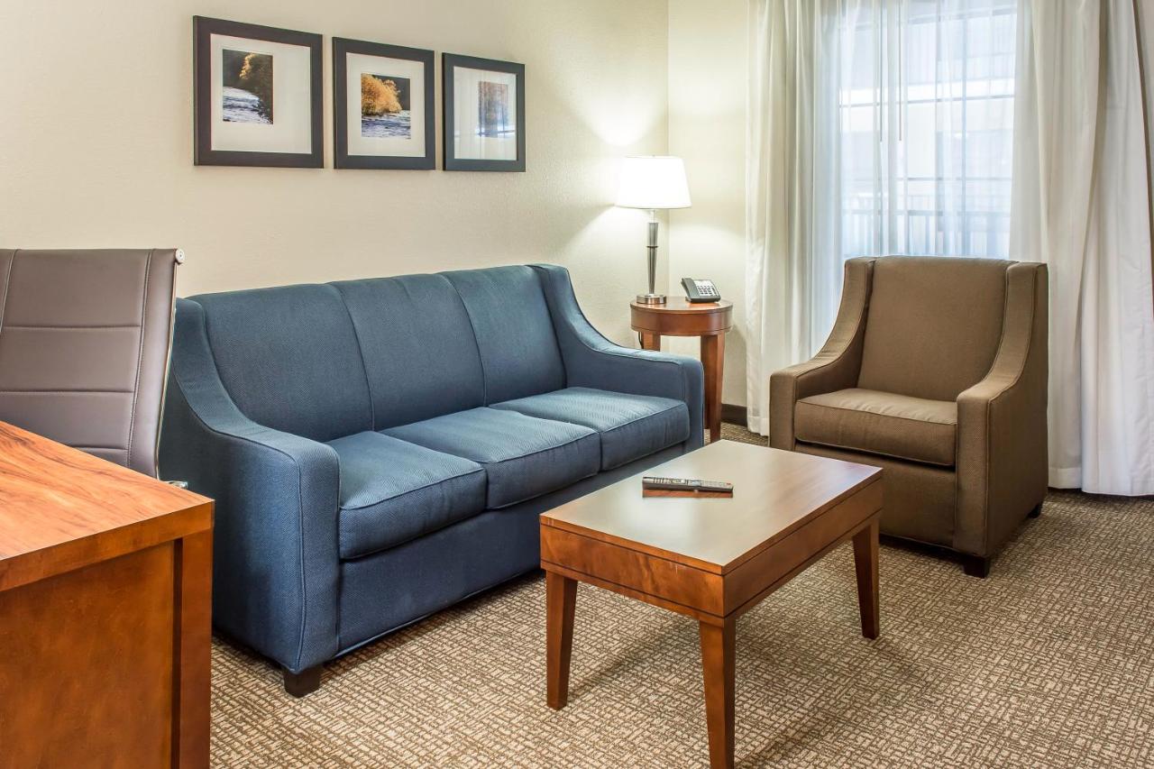King Suite with Sofa Bed - Disability Access at Comfort Suites Fredericksburg South