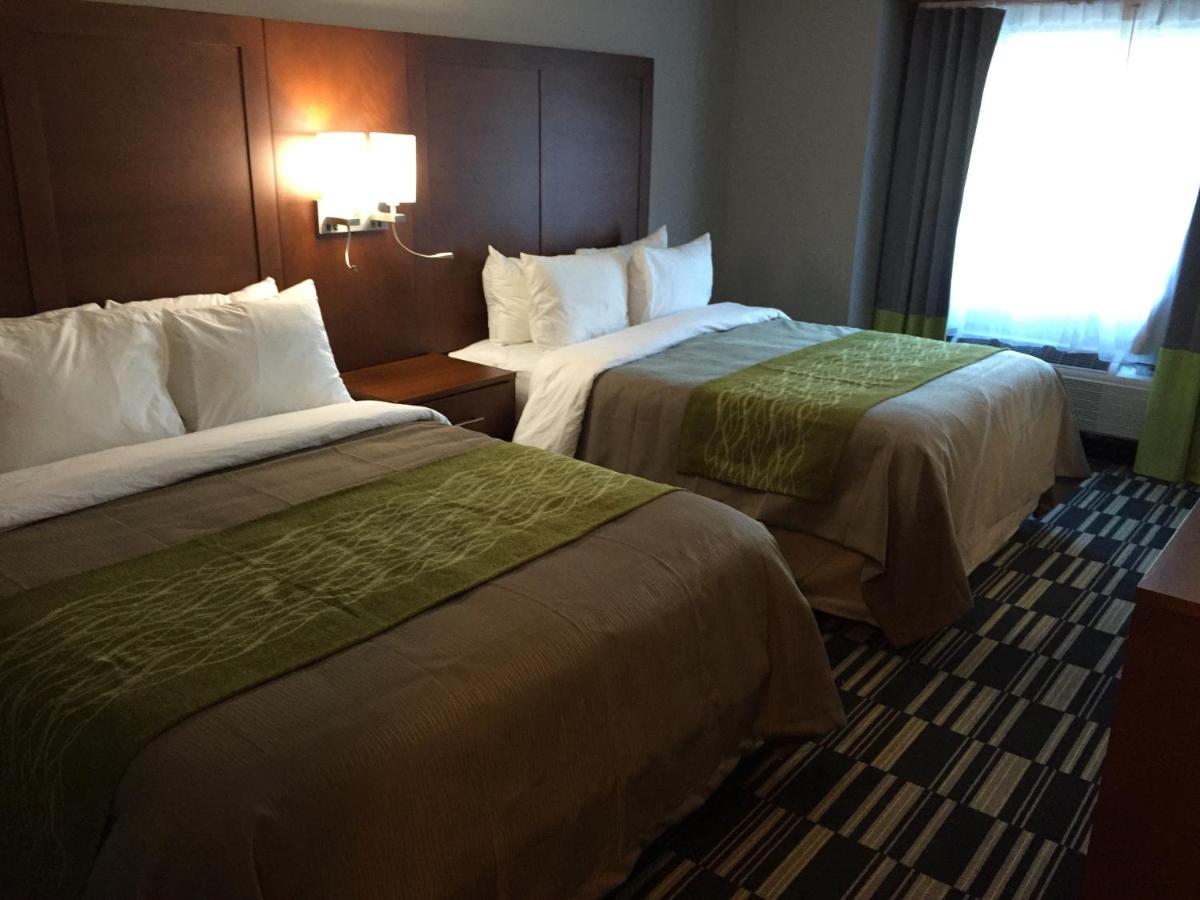 Queen Room with Two Queen Beds - Non-Smoking at Quality Inn & Suites Ashland near Kings Dominion