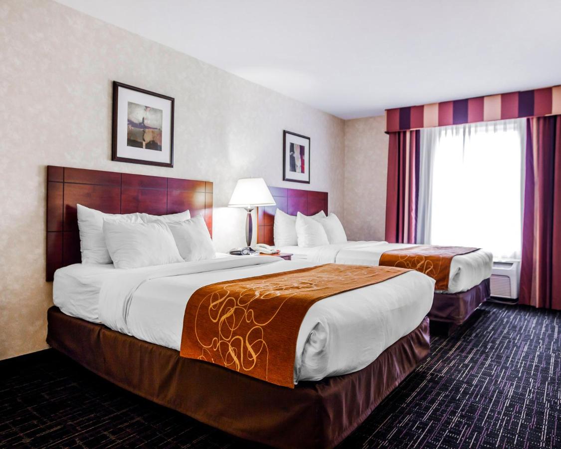 Room #49044707 at Comfort Suites Independence - Kansas City