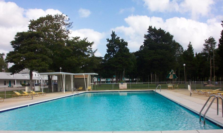 Standard Room with 2 Double Beds (2 Adults) at Hyland Motor Inn