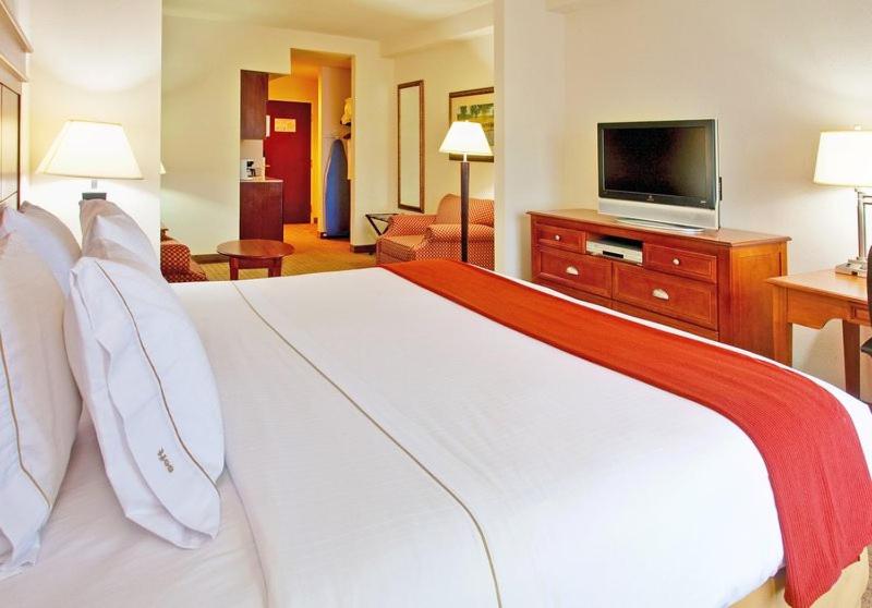 King Suite with Spa Bath - Non-Smoking at Holiday Inn Express Hotel & Suites Dyersburg by IHG