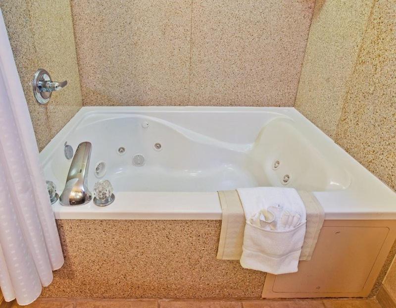 King Suite with Spa Bath - Non-Smoking at Holiday Inn Express Hotel & Suites Dyersburg by IHG