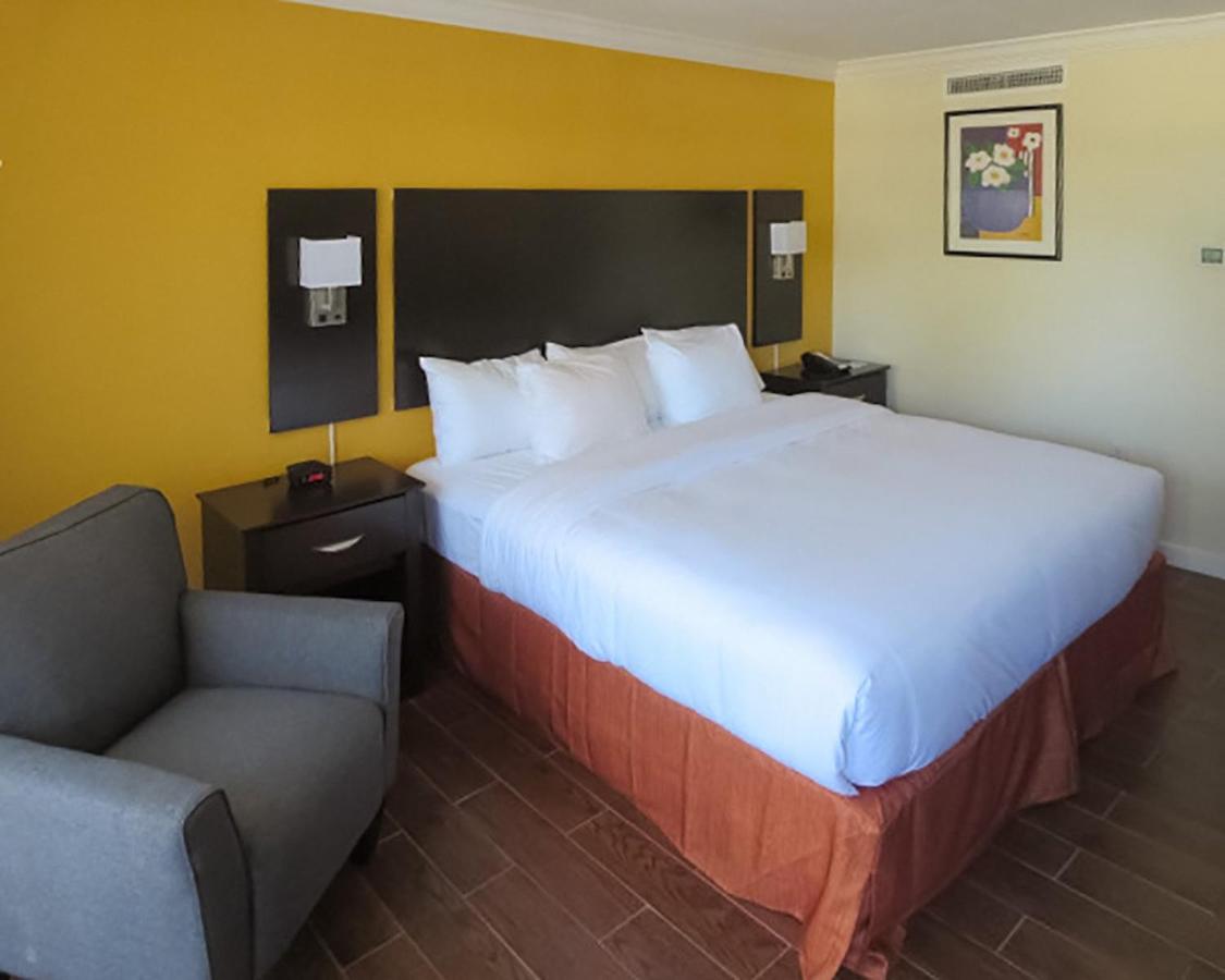 King Room at The Link Hotel on Sunrise