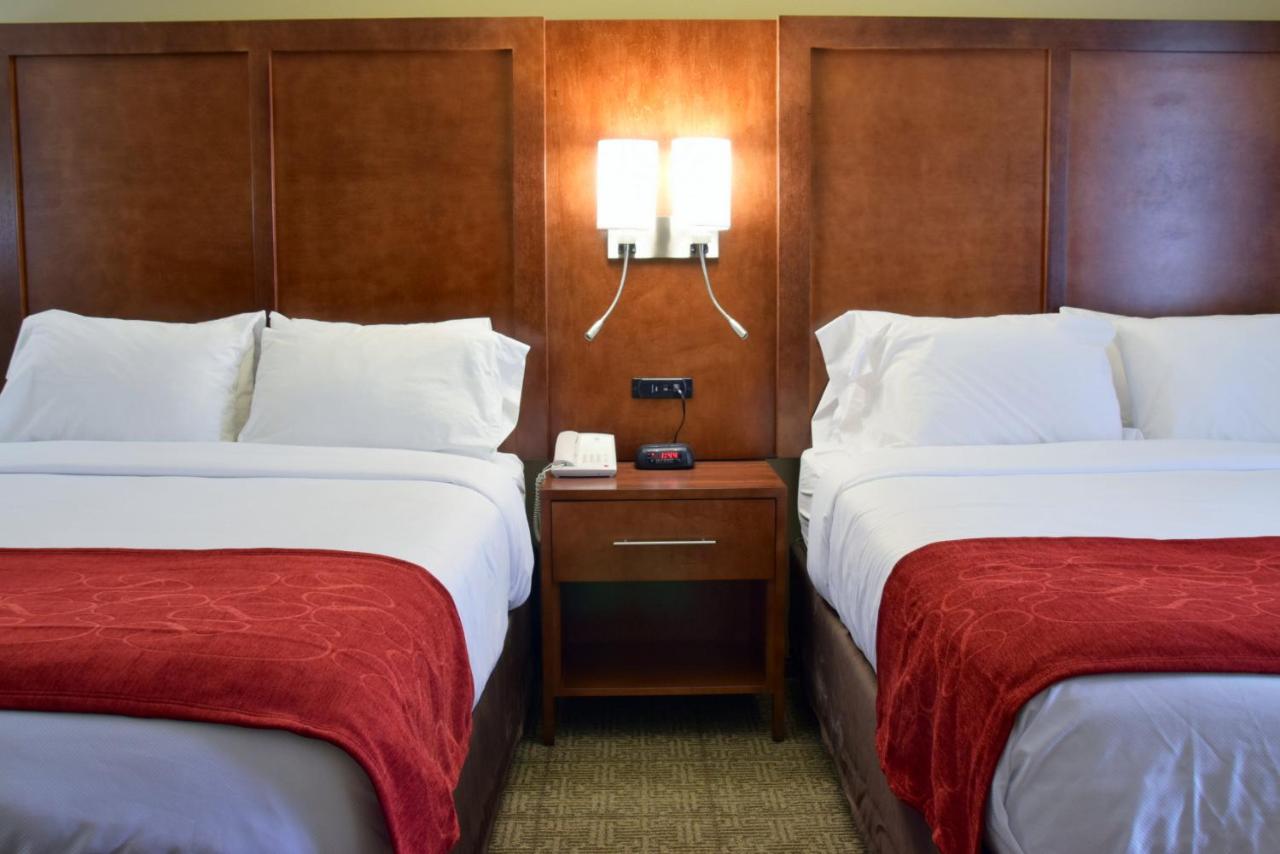 Queen Suite with Sofa Bed at Comfort Suites Dunnellon near Rainbow Springs