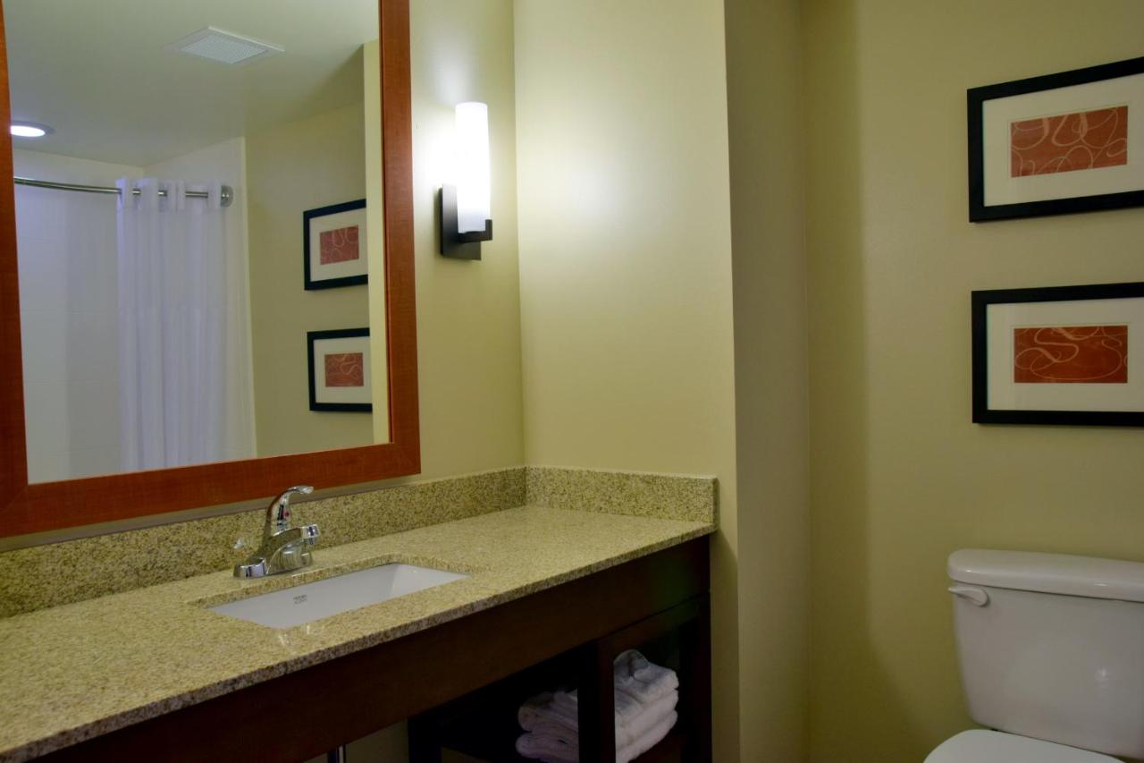 Queen Suite with Sofa Bed at Comfort Suites Dunnellon near Rainbow Springs
