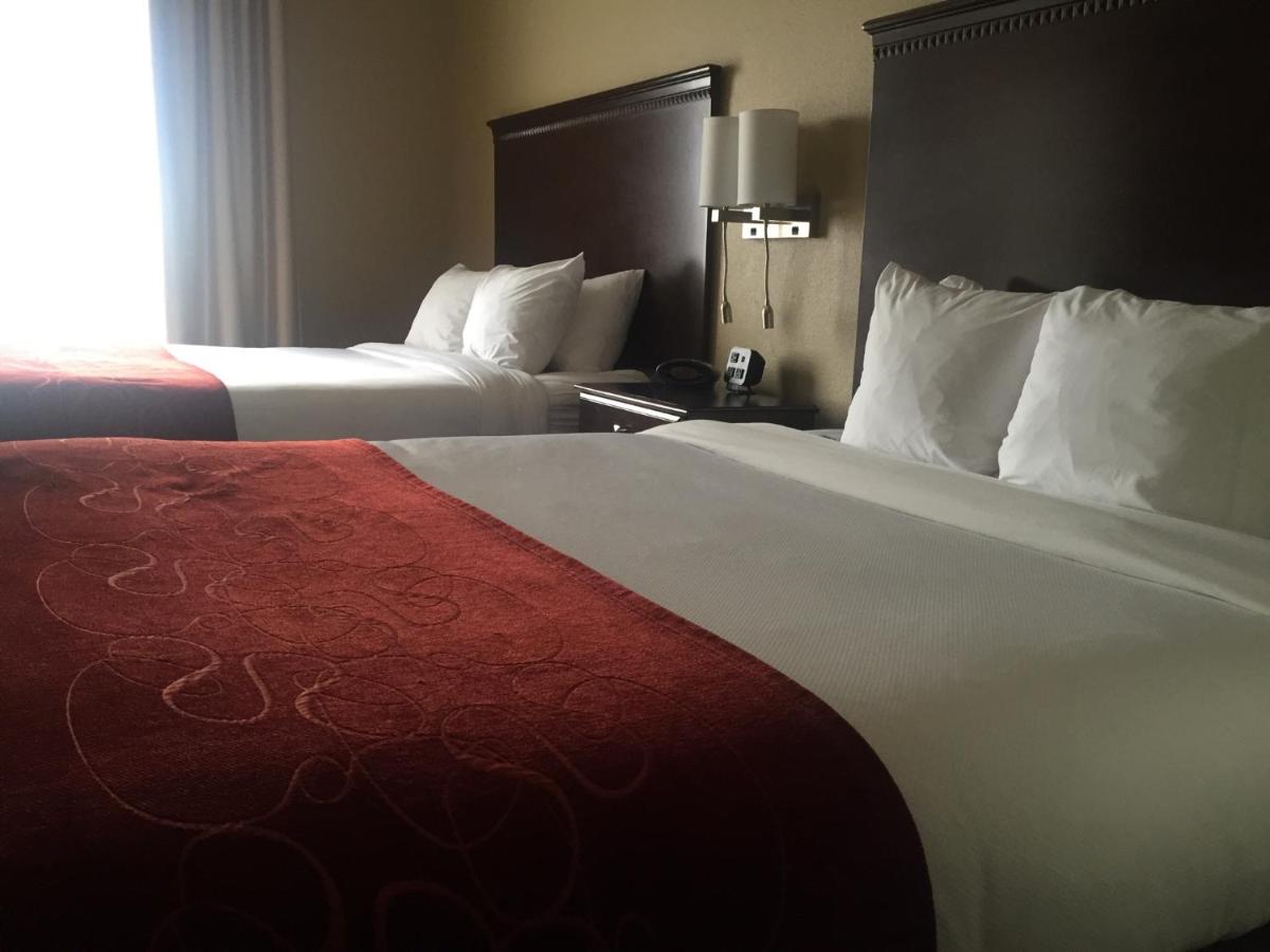 Queen Suite - Non-Smoking at Comfort Suites Marietta - Parkersburg