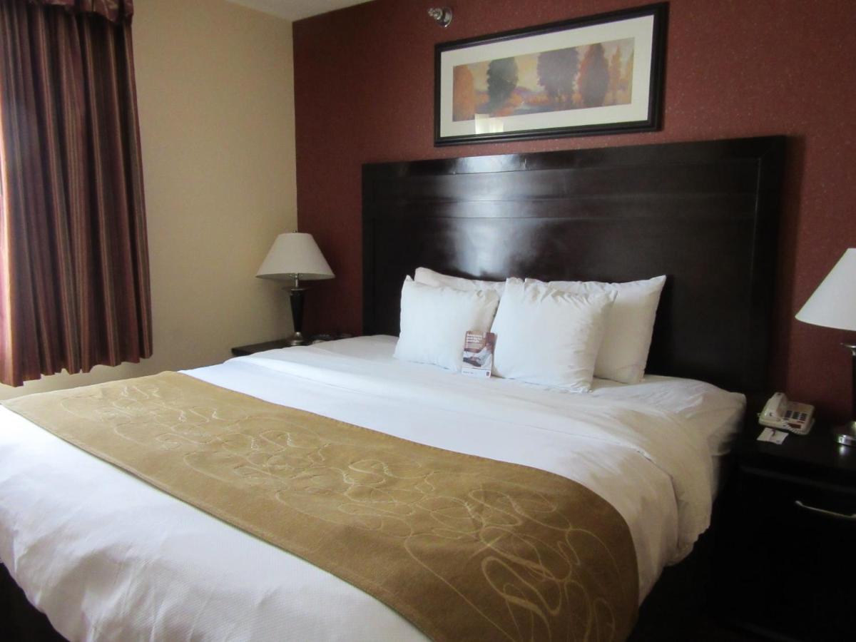 King Suite at Comfort Suites Airport