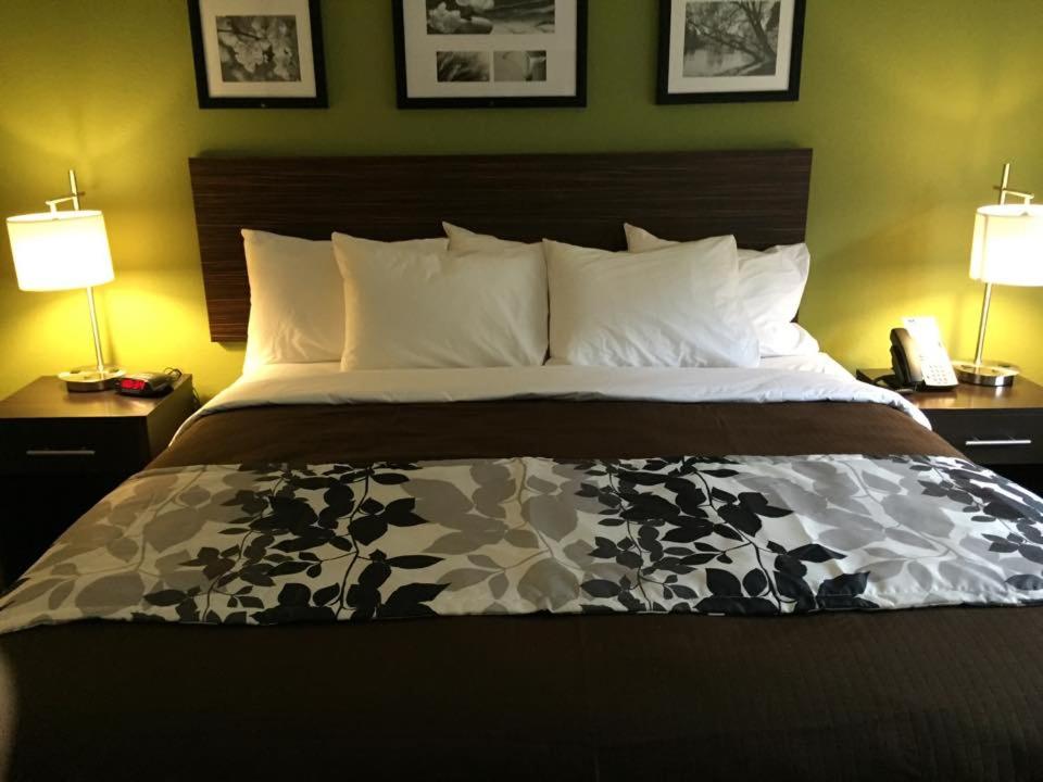 Standard King Room - Non-Smoking at Sleep Inn & Suites Dayton South