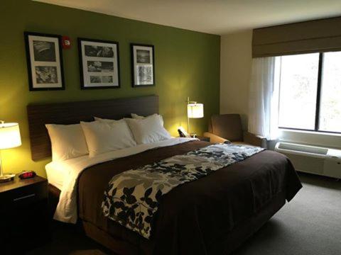 Standard King Room - Non-Smoking at Sleep Inn & Suites Dayton South