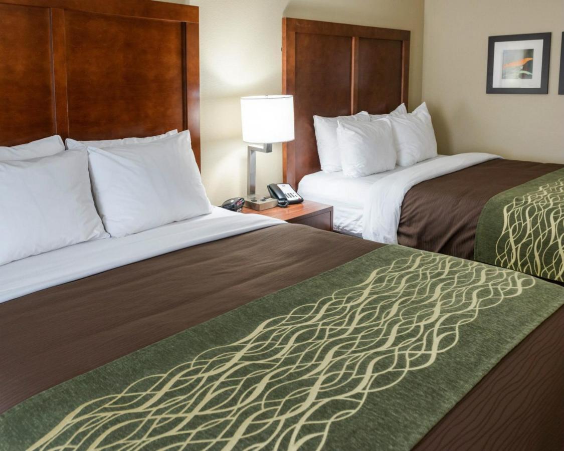 Queen Suite with Sofa Bed - Non-Smoking at Comfort Inn & Suites West - Medical Center