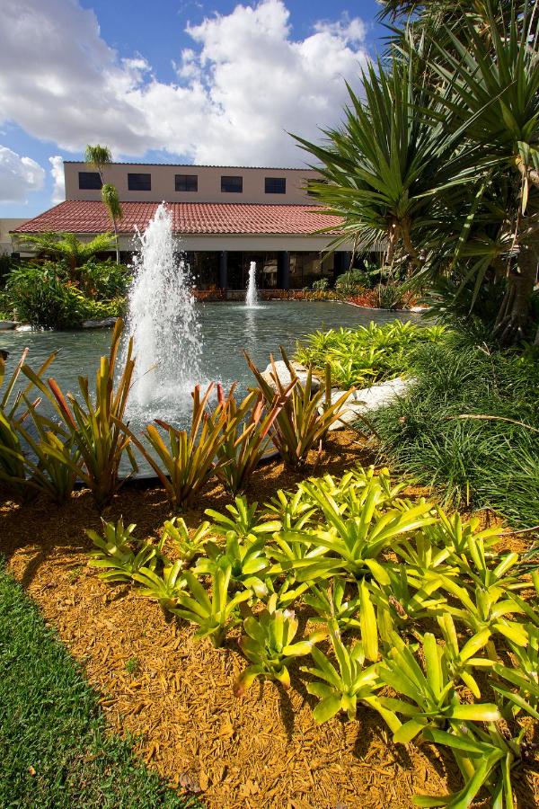 Deluxe Double Room at Miami Lakes Hotel